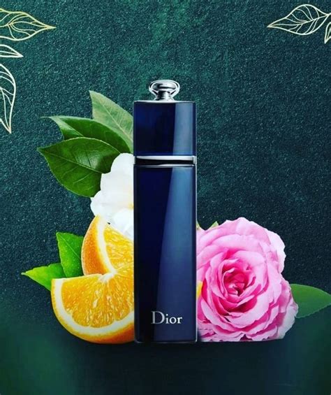 dior addict edp dupe|Dior Addict edp 100 ml.